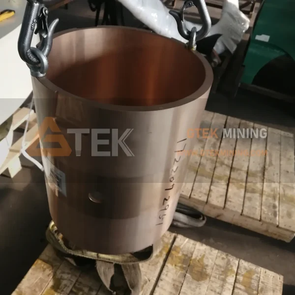 Inner Eccentric Bushing 1022072951-1
