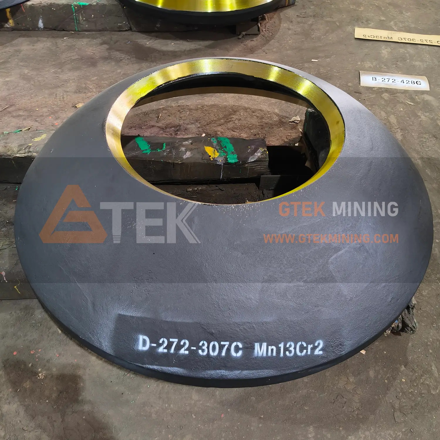 D-272-307C D-272-307C Lower Mantle
