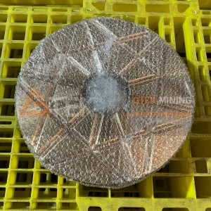 442.7122-01 Piston Wearing Plate