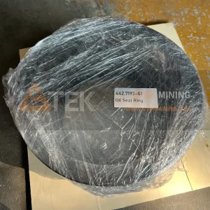Oil Seal Ring Suits CH440/CS440 442.7193-01