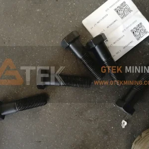 Hexagonal Bolt Suits LT106 N01530526