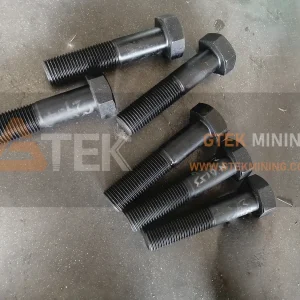 Hexagonal Bolt Suits LT106 N01532904